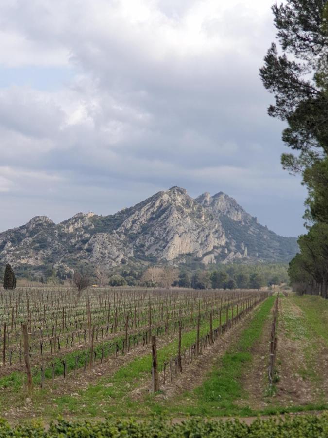 Les Estrelles Saint-Rémy-de-Provence